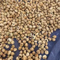 فروش انجیر|خوردنی و آشامیدنی|شیراز, انجیر|دیوار