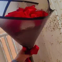 گل ربانی عمر طولانی و نصف قیمت|گل مصنوعی|شیراز, ریاستی|دیوار