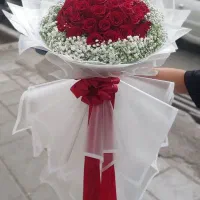دسته گل|گل و گیاه طبیعی|قم, نخودی|دیوار
