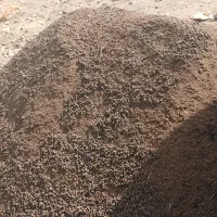 کودحیوانی درجه یک بانیسان