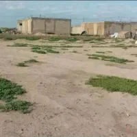 زمین مسکونی