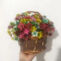 سبد گل زیبا