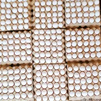 فروش تخم مرغ رسمی در یزد|خوردنی و آشامیدنی|یزد, |دیوار