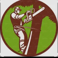 بریدن درختان