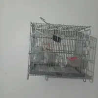 قفس سهره غلامی|لوازم جانبی حیوانات|فسا, |دیوار