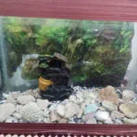 آکواریوم با تمام وسایل