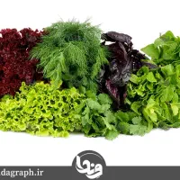 فروش کاه دیم