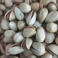 پسته احمدآقایی و اکبری با تخفیف امکان تست قبل خرید|خوردنی و آشامیدنی|قم, بلوار امین و ساحلی|دیوار