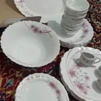 ظروف آرکوپال|ظروف سرو و پذیرایی|سرپل ذهاب, |دیوار