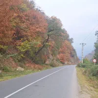 راهنمایی کنید