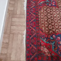 فرش دستبافت|فرش|تهران, قلهک|دیوار