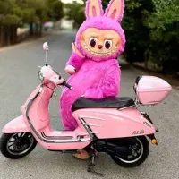 تولد جشن یلدا بادکنک ارایی فروش کرایه تنپوس عروسکی|خدمات پذیرایی، مراسم|شیراز, فرهنگ شهر|دیوار