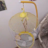 قفس پایه دار بلند|لوازم جانبی حیوانات|کرج, گلشهر|دیوار