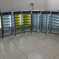 دستگاه ۰جوجه*      کشی/پرقدرت، اکسیژن‌رسانی کافی