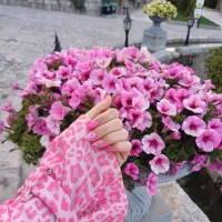 دنبال ناخنکار حرفه ای ببین