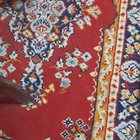 پادری بنفش|پادری|کرج, گلشهر|دیوار
