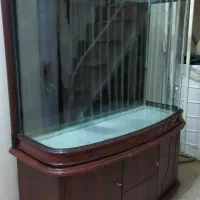 اکواریوم چینی