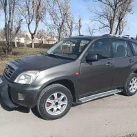 ایکس 33 بی رنگ پلم