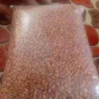 گندم پیش گام آبی|حراج|الیگودرز, |دیوار