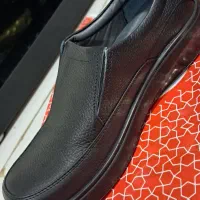 کفش ایمنی وکار|کیف، کفش، کمربند|دره شهر, |دیوار