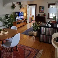 راهنمایی همخونه