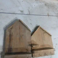 استخدام کارگر ساده آقا و خانم  و نجار نیمه ماهر