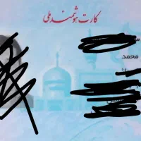 گمشده کیف کوچیک به همراه کارت ملی و چند کارت بانکی