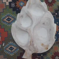 اردو خوری