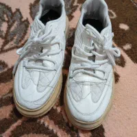 کتانی سایز ۴۰به ۳۹هم میخوره