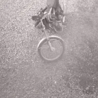 موتور سالم بدون مشکل|موتورسیکلت|سنگر, |دیوار