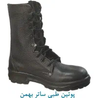 پوتین