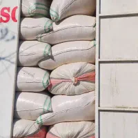 کاه گندم دیم نرم