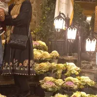 مانتو مجلسی حریران