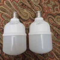 لامپ رشد گیاه