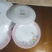 بشقاب  آرکوپال گل الیز اصل فرانسه