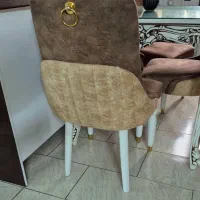 ۳ عدد صندلی ناهار خوری و میزبان چستر