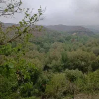 سوئیت-جنگلی-تمیز-در-قشنگترین-لوکیشن-مشهد