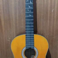 arya ak20|گیتار، بیس، امپلیفایر|گنبد کاووس, |دیوار