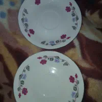 نلبکی