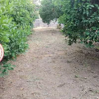 خدمات باغبانی وعلف زنی|خدمات باغبانی و درختکاری|دزفول, |دیوار
