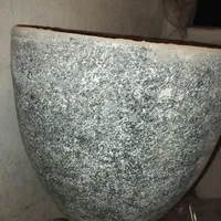 تعدادی گلدان|گل و گیاه طبیعی|تهران, خرمشهر|دیوار