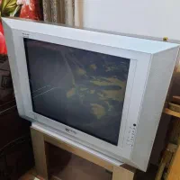 تلوزیون ۲۹ صنام