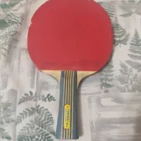 راکت حرفه ای تهاجمی تیموبول باترفلای