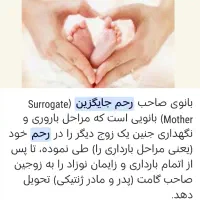 اهدا کننده رحم جایگزین هستم