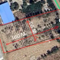 دهنو بیدزارد خیابان اصلی باغ فروشی