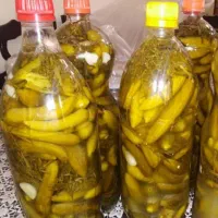 خیار شور همدان ۱۴۰ بطری