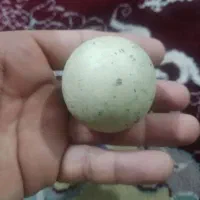 سنگ آسیاب بسیار قدیمی