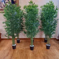 حراج درختچه های قیمت مناسب