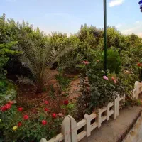 سرایدار خانم خوش اخلاق مسئولیت پذیر برای کار ساعتی