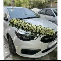 زیباترین شاهین Gاستان(خوش قدم)بازدید عسلویه